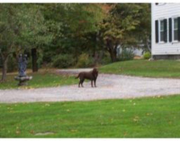 0 Spring St Extension Athol, MA 01331 - Photo 3 of 3 a view of yard