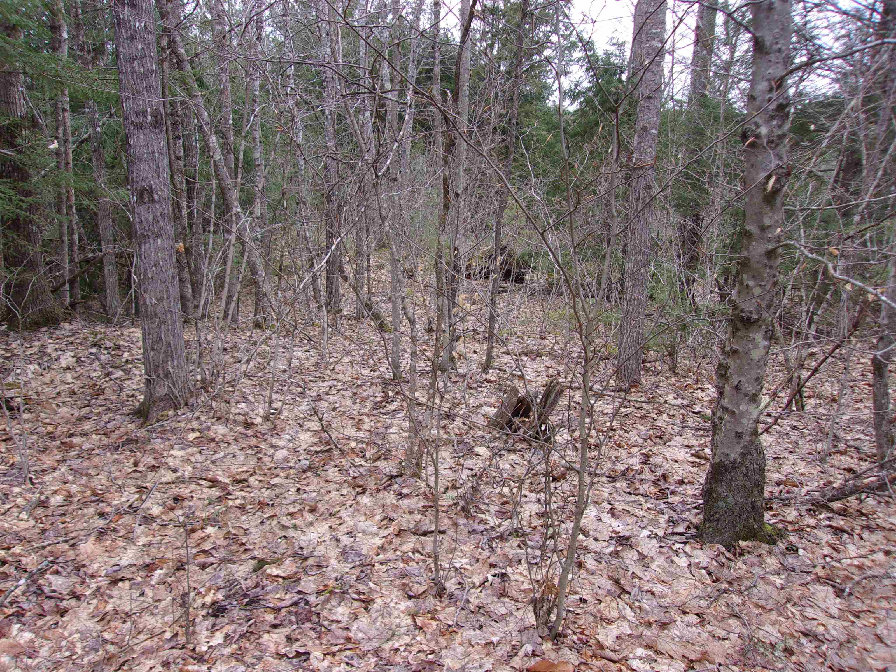 Fenn Way Circle, Unit 32 Bath, NH 03740 - Photo 11 of 13