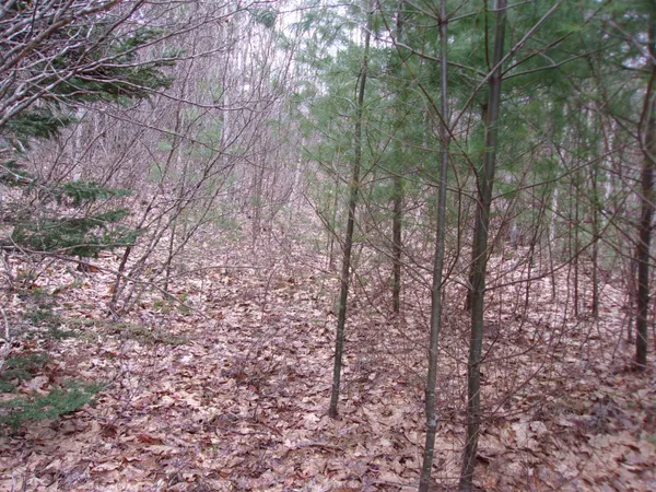$69,000 | Fenn Way Circle, Unit 32, Bath, NH 03740