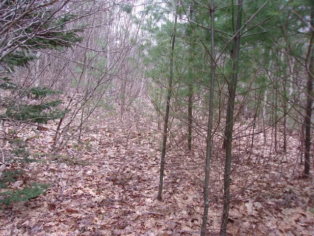 $69,000 | Fenn Way Circle, Unit 32, Bath, NH 03740