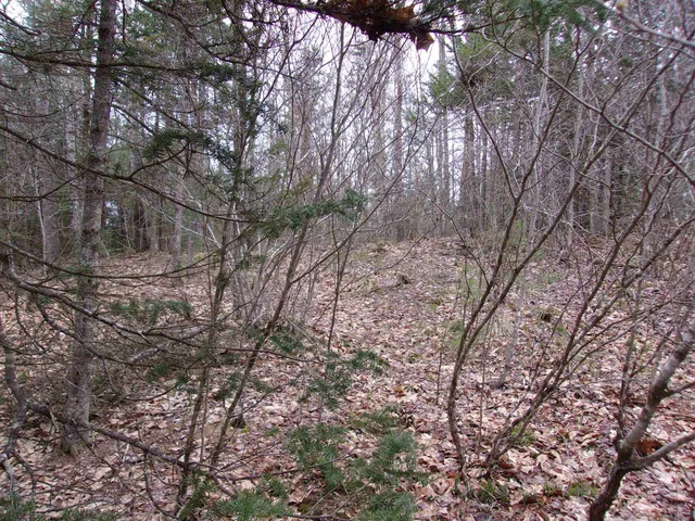 $69,000 | Fenn Way Circle, Unit 32, Bath, NH 03740