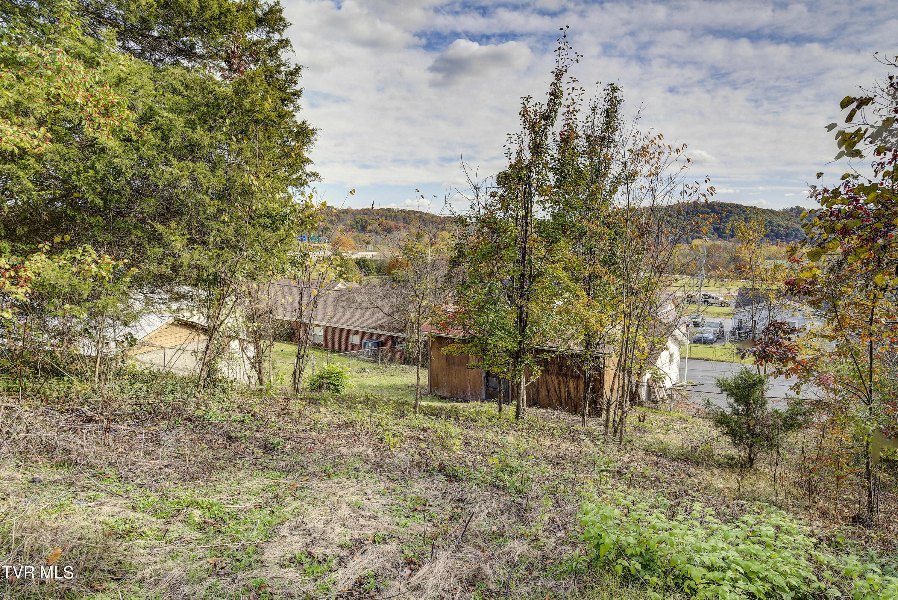 2209 Jett Road Kingsport, TN 37660 - Photo 42 of 46 Shed