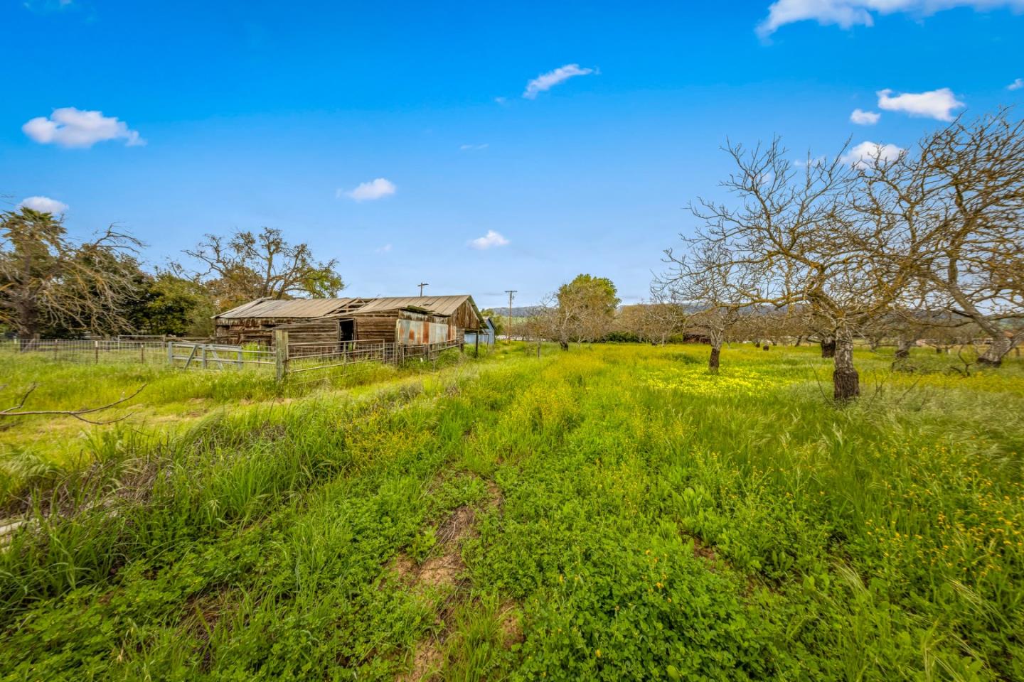 13755 Columbet Avenue San Martin, CA 95046 - Photo 37 of 61 a view of a houses with a yard