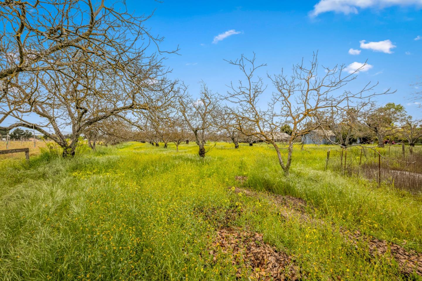 13755 Columbet Avenue San Martin, CA 95046 - Photo 41 of 61