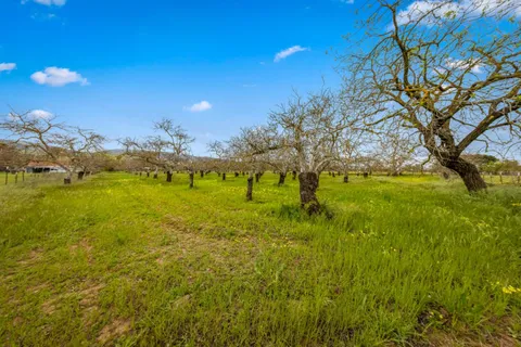 a view of a patio with table and chairs with wooden fence and plants