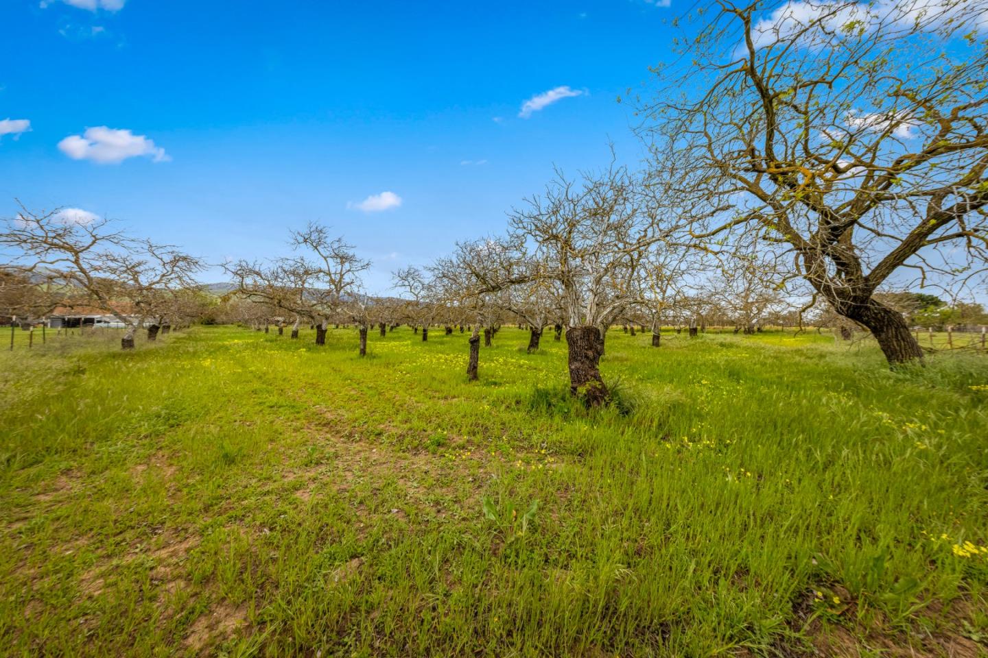 13755 Columbet Avenue San Martin, CA 95046 - Photo 42 of 61 a view of a houses with yard and lake view