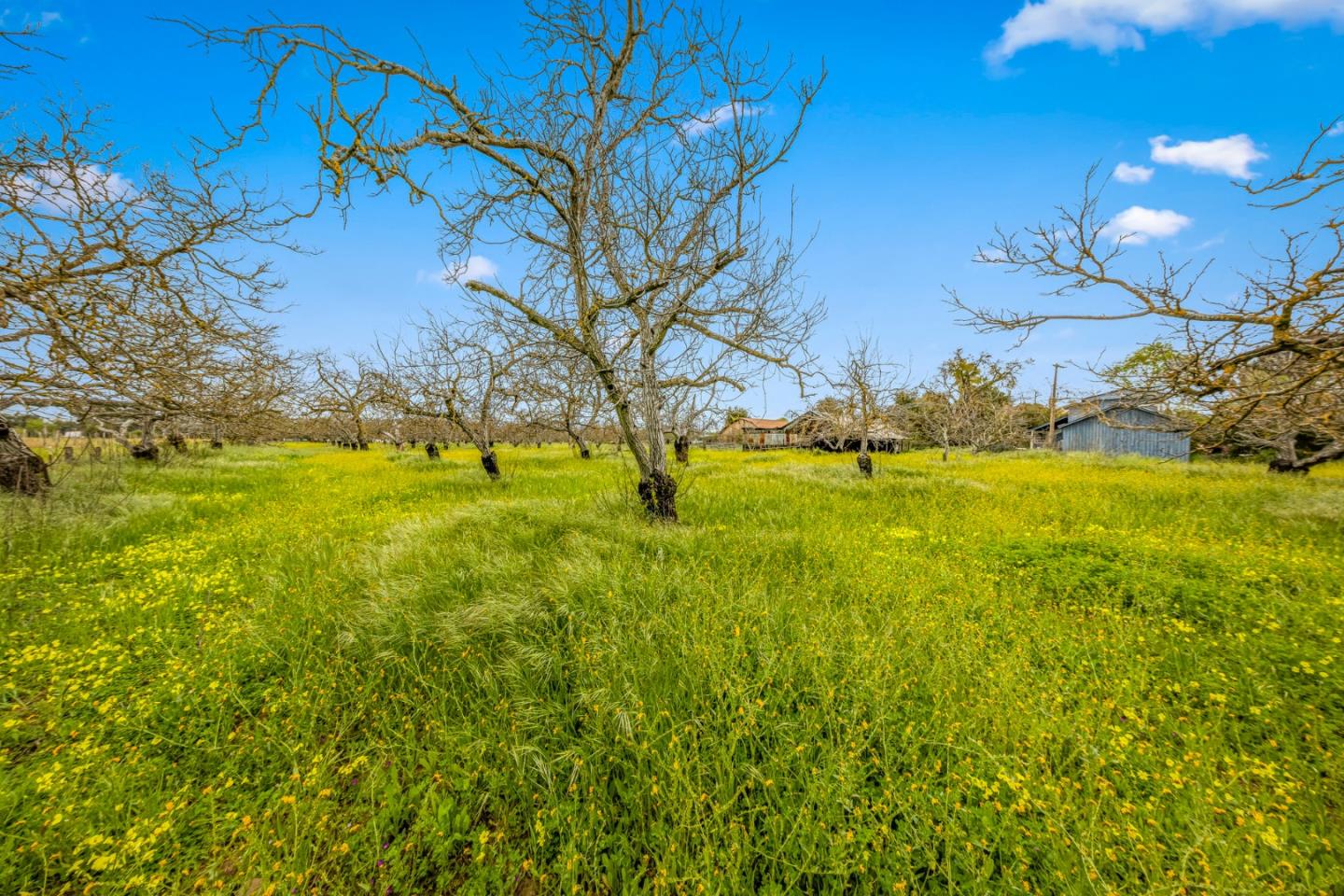 13755 Columbet Avenue San Martin, CA 95046 - Photo 43 of 61