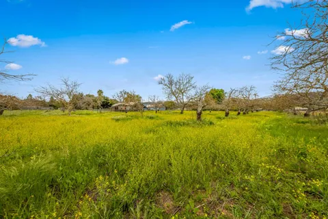 a view of a house with a garden