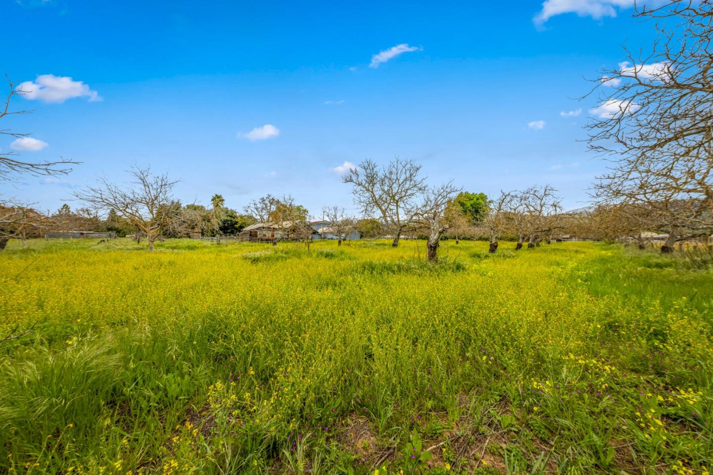 13755 Columbet Avenue San Martin, CA 95046 - Photo 45 of 61 a view of an ocean from a building