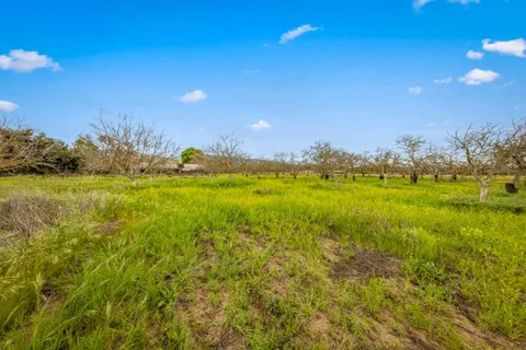 a view of a house with a yard and large trees