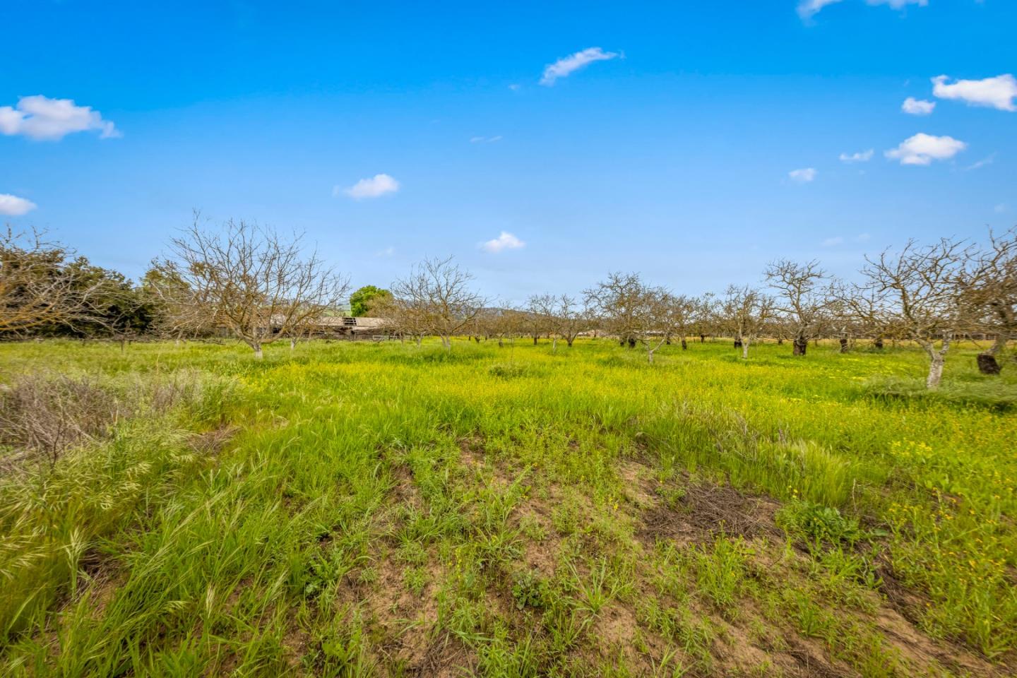 13755 Columbet Avenue San Martin, CA 95046 - Photo 46 of 61