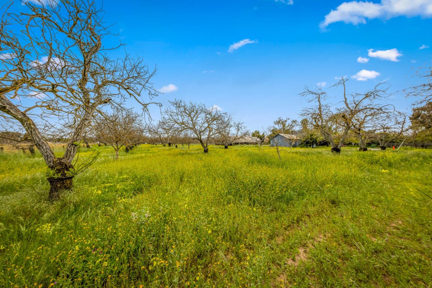 13755 Columbet Avenue San Martin, CA 95046 - Photo 48 of 61 a view of a lake with a yard