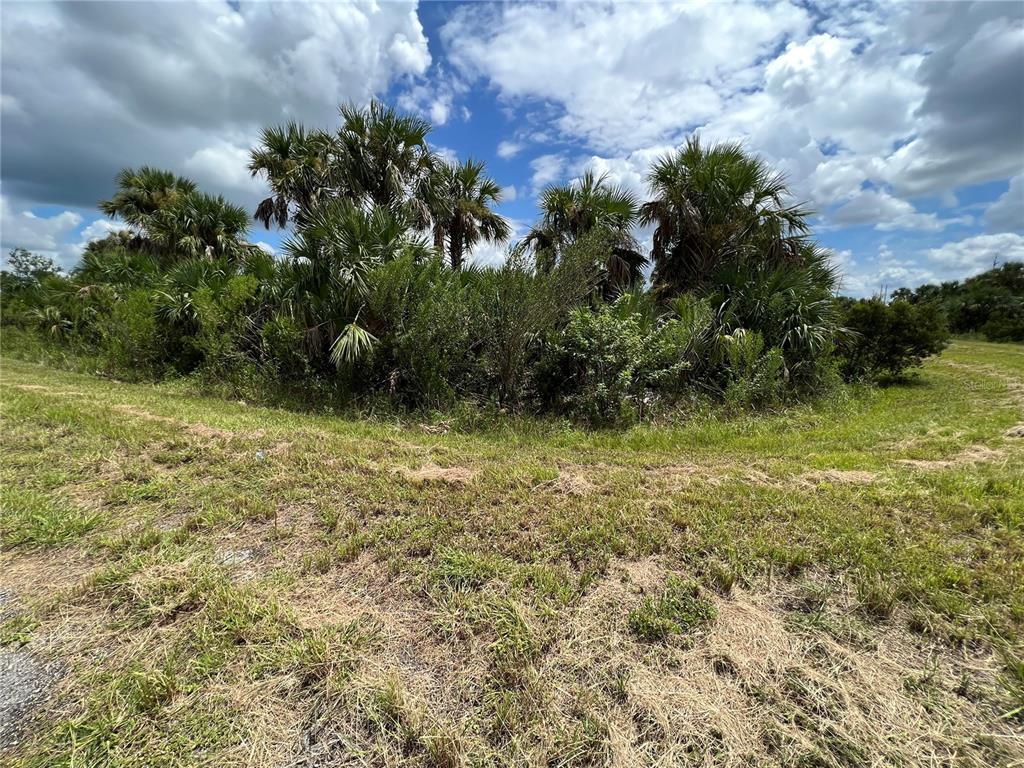 0 Deer Place North Port, FL 34288 - Photo 15 of 15