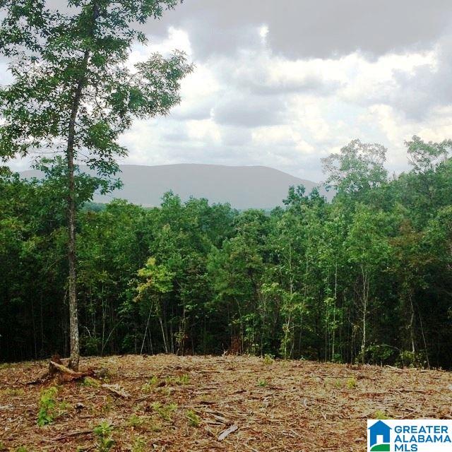 22-acres Clairmont Springs Road, Unit 22 ACRES Lineville, AL 36266 - Photo 12 of 16