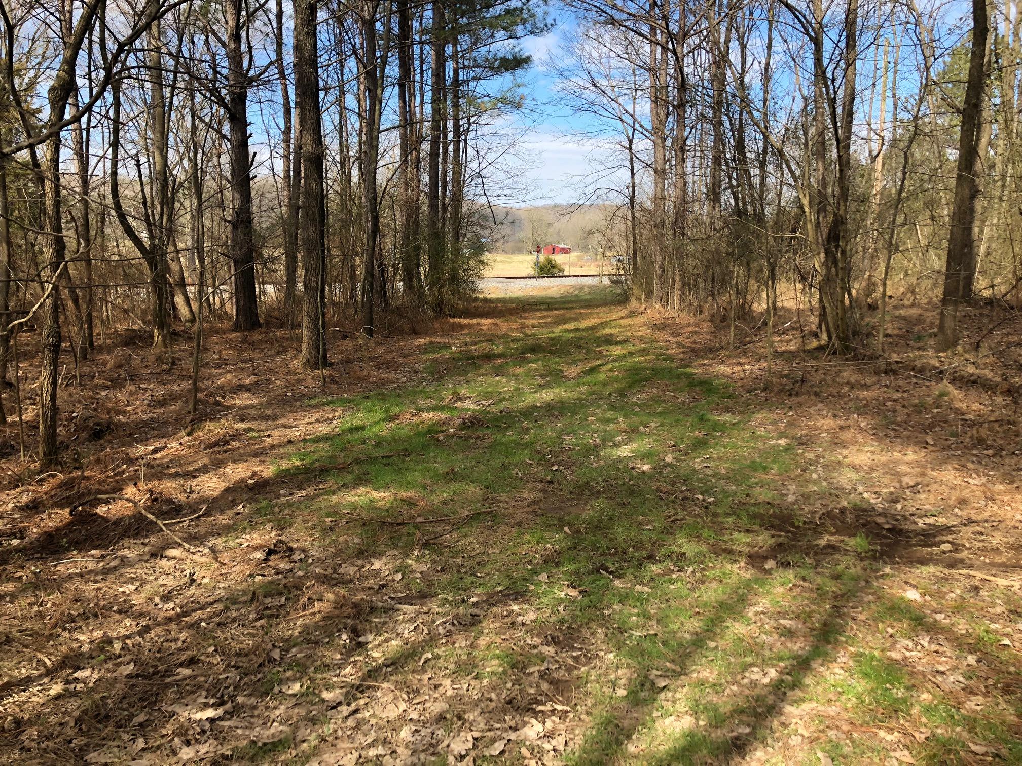 80.25 Blue Springs Road Cleveland, TN 37323 - Photo 1 of 22 IMG_1306