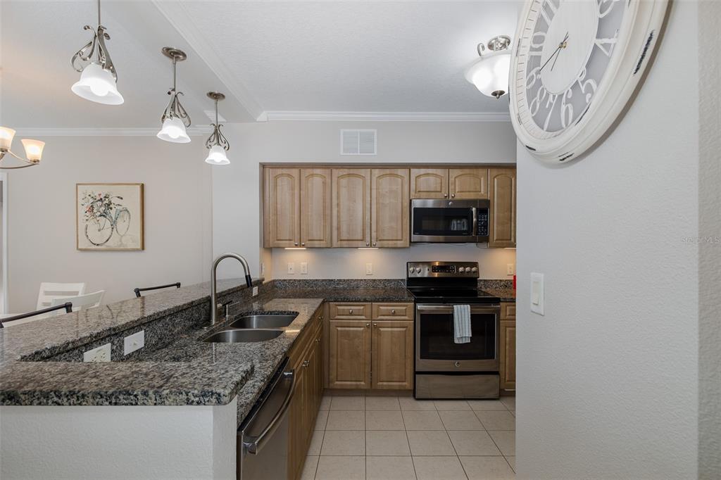 4516 Seagull Drive, Unit 411 New Port Richey, FL 34652 - Photo 12 of 47 a kitchen with stainless steel appliances granite countertop a sink and a stove