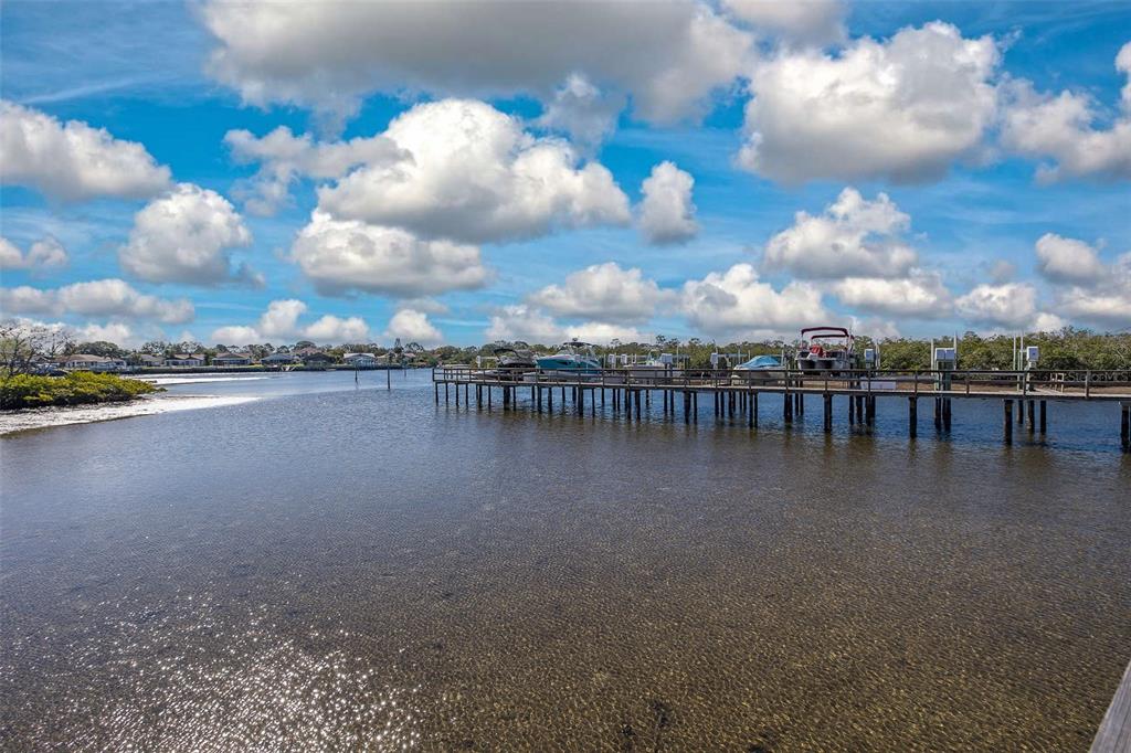 4516 Seagull Drive, Unit 411 New Port Richey, FL 34652 - Photo 43 of 47
