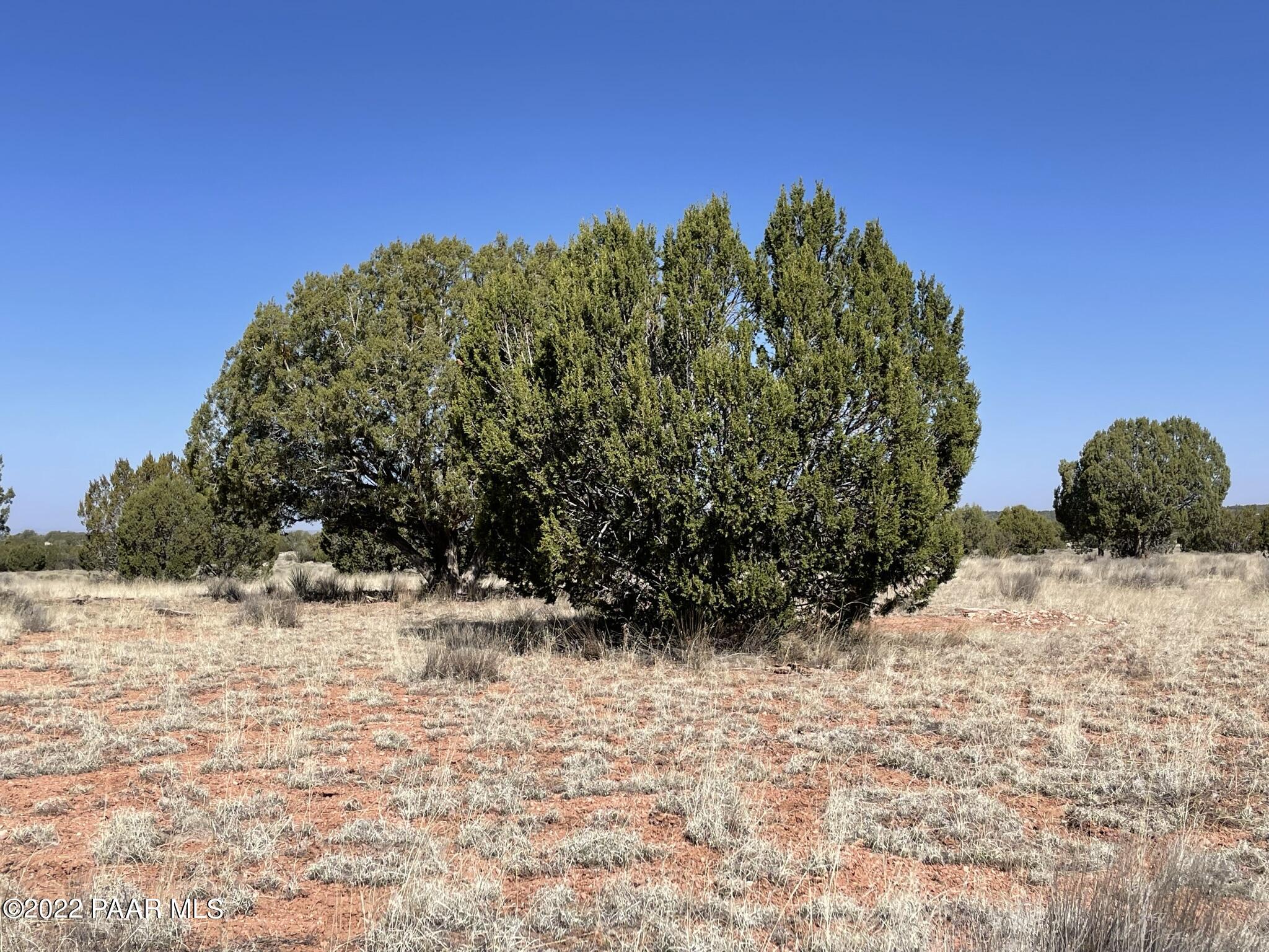Lot 66 Antelope Valley Ranch Seligman, AZ 86337 - Photo 11 of 18 IMG_1022