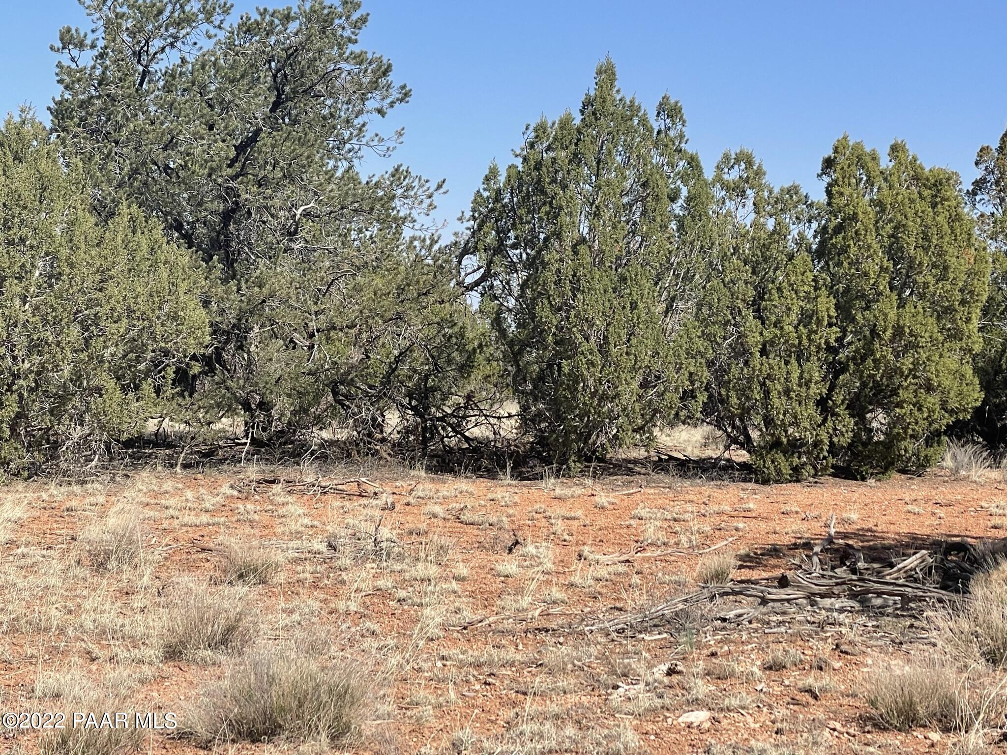 Lot 66 Antelope Valley Ranch Seligman, AZ 86337 - Photo 14 of 18 IMG_1027