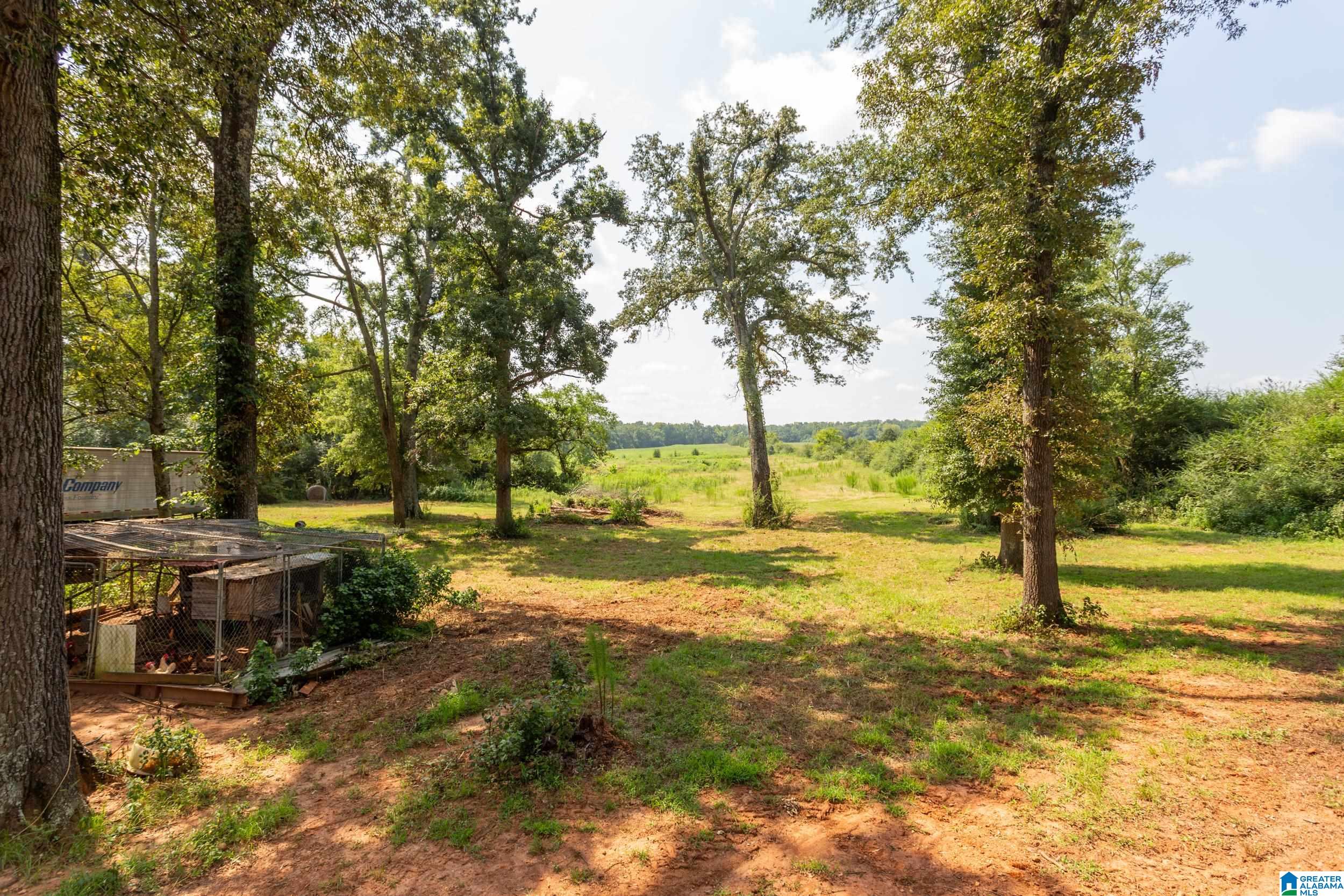 419 Green Acres Road Eastaboga, AL 36260 - Photo 27 of 68 Gallery Image 27