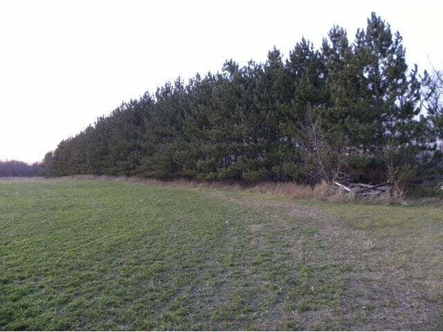 12528 Fountain Road Little Falls, MN 56345 - Photo 7 of 18 Gallery Image 7