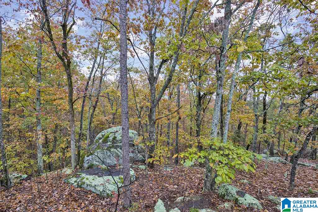 450 Eagles Roost Road Odenville, AL 35120 - Photo 29 of 30
