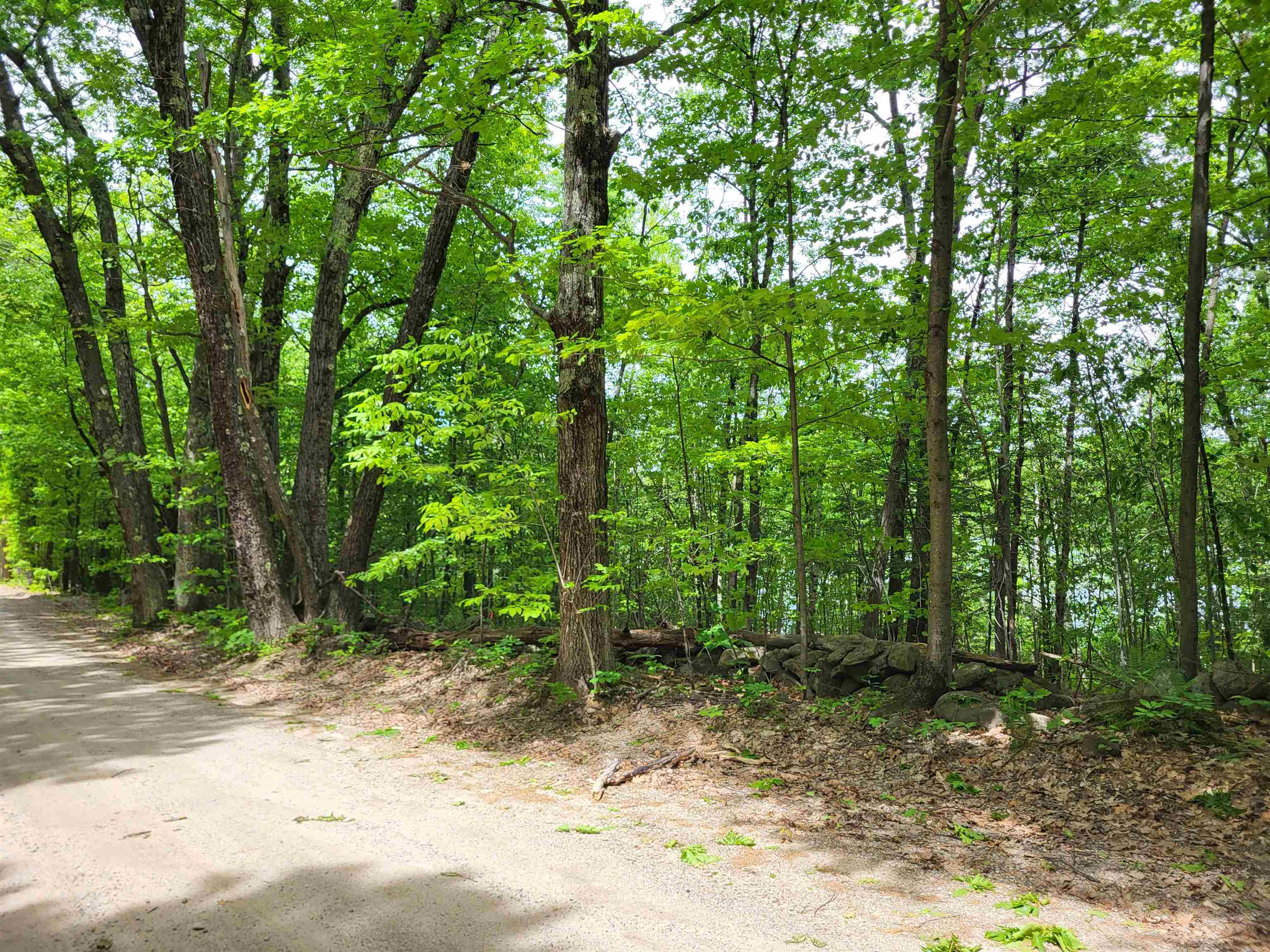 136 Martin Road Weare, NH 03281 - Photo 7 of 9