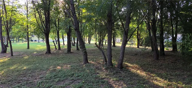 a view of outdoor space with lots of trees