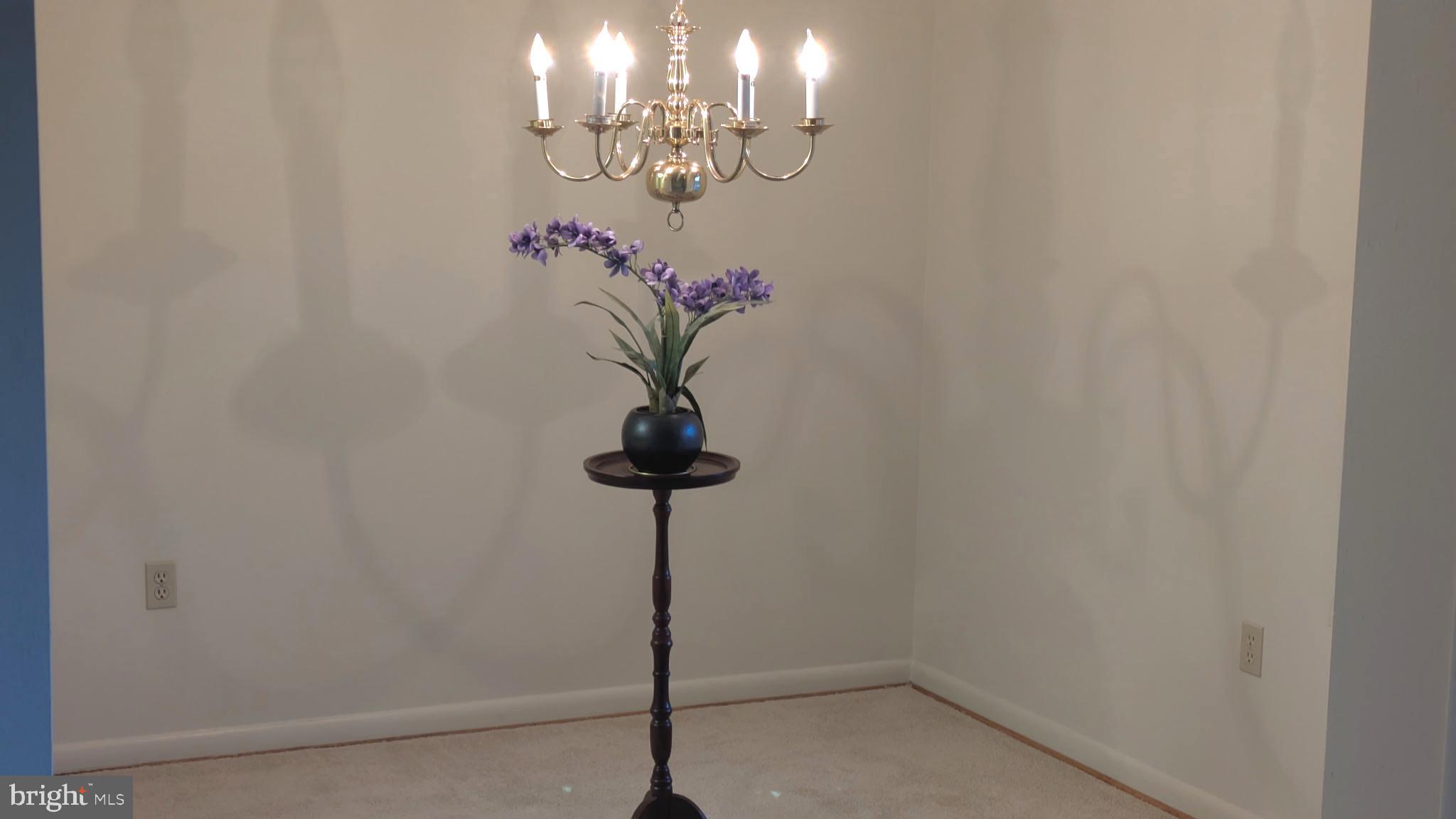 3378 Chiswick Court, Unit 523E Silver Spring, MD 20906 - Photo 18 of 24 a vase of flowers sitting on a table