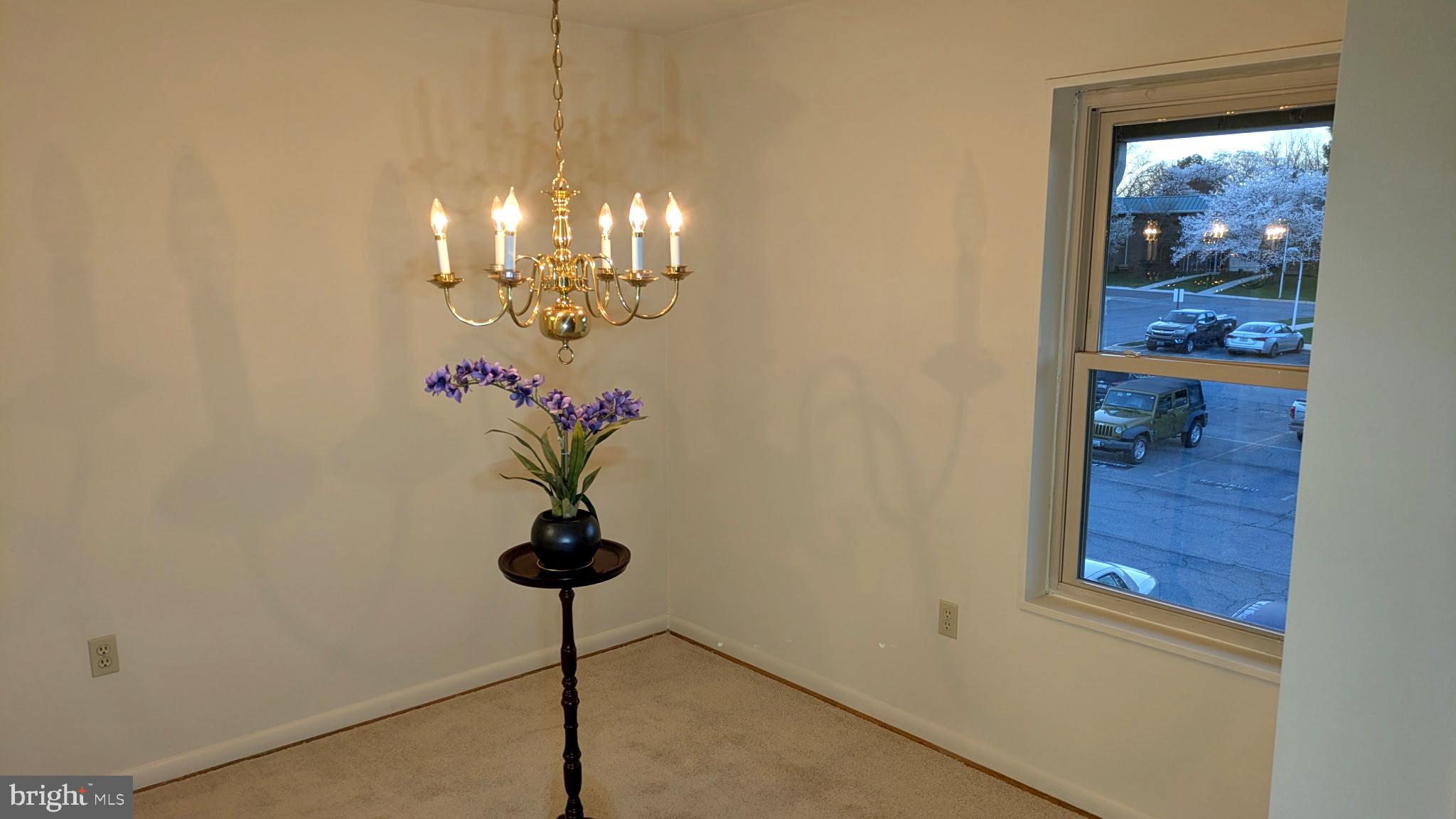 3378 Chiswick Court, Unit 523E Silver Spring, MD 20906 - Photo 6 of 24 a vase of flowers sitting on a table