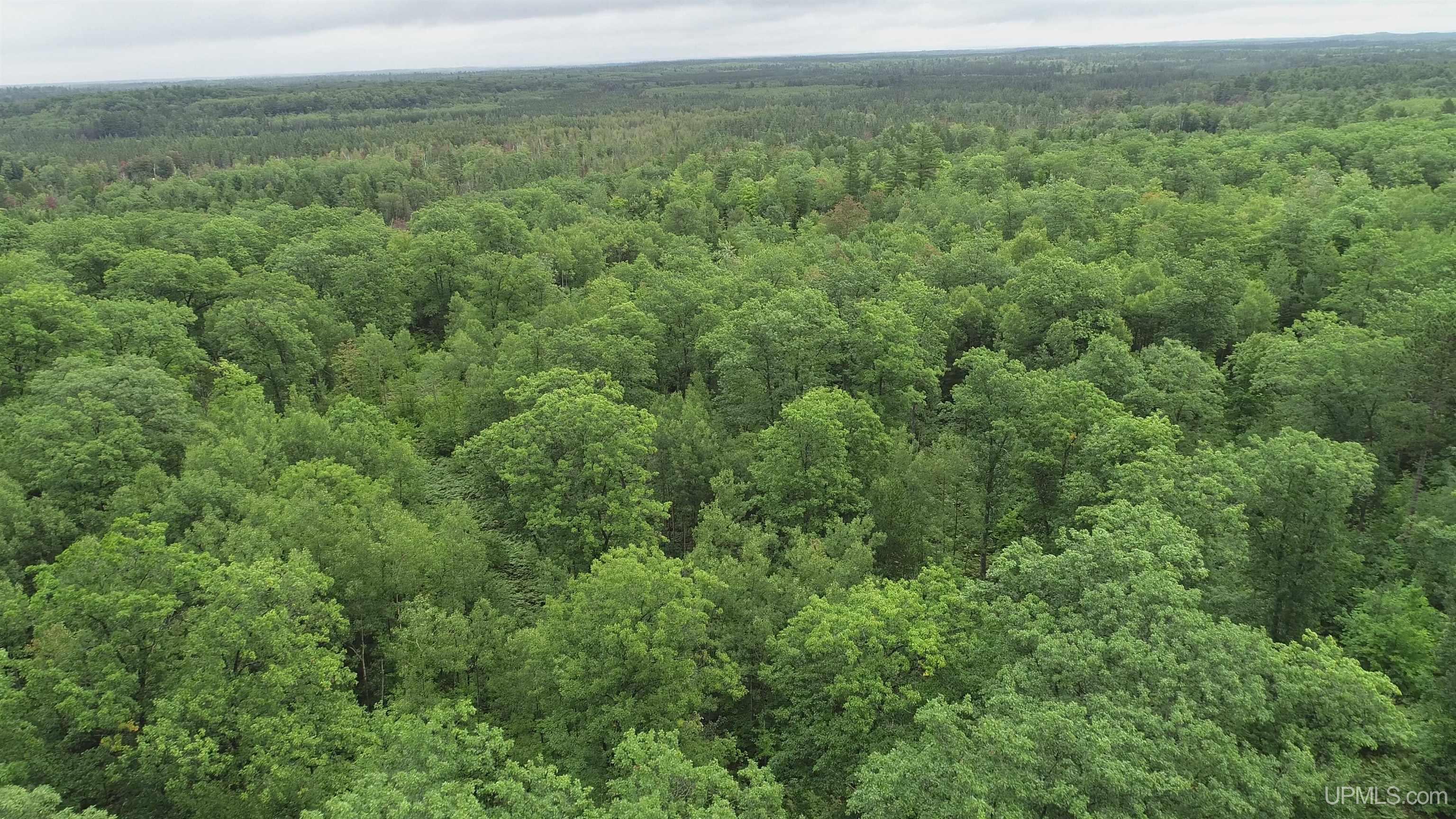 565 County Road 565 Road Gwinn, MI 49841 - Photo 35 of 35