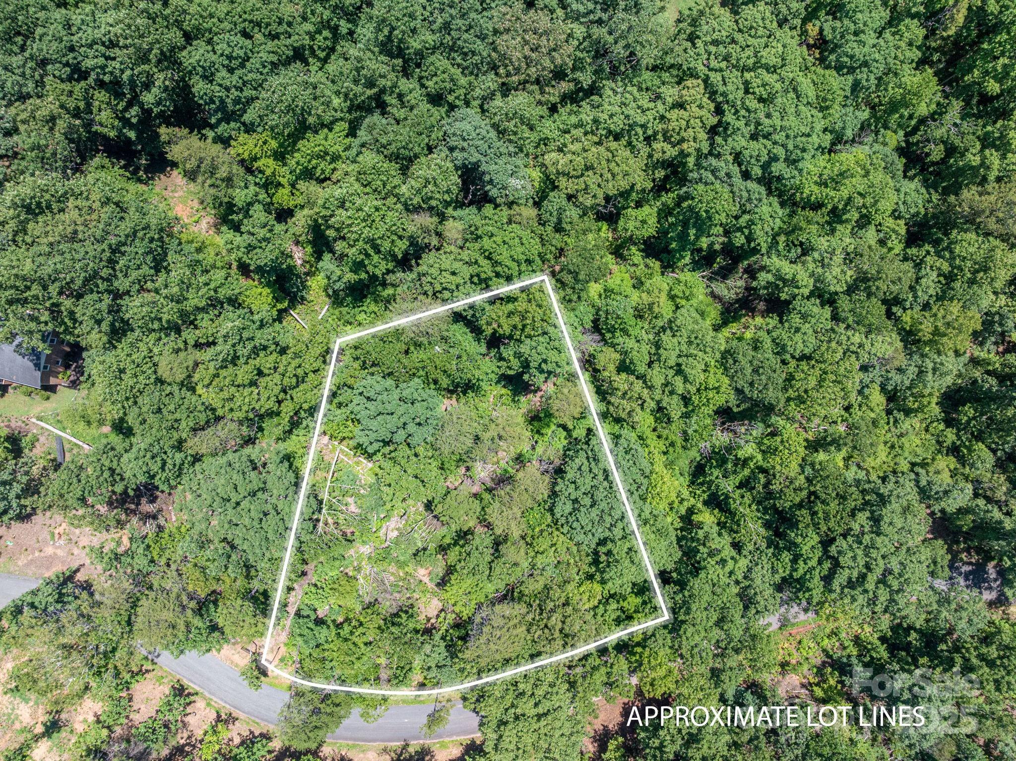 Lot 131 Plantation Drive Rutherfordton, NC 28139 - Photo 1 of 18 an aerial view of a house with a yard