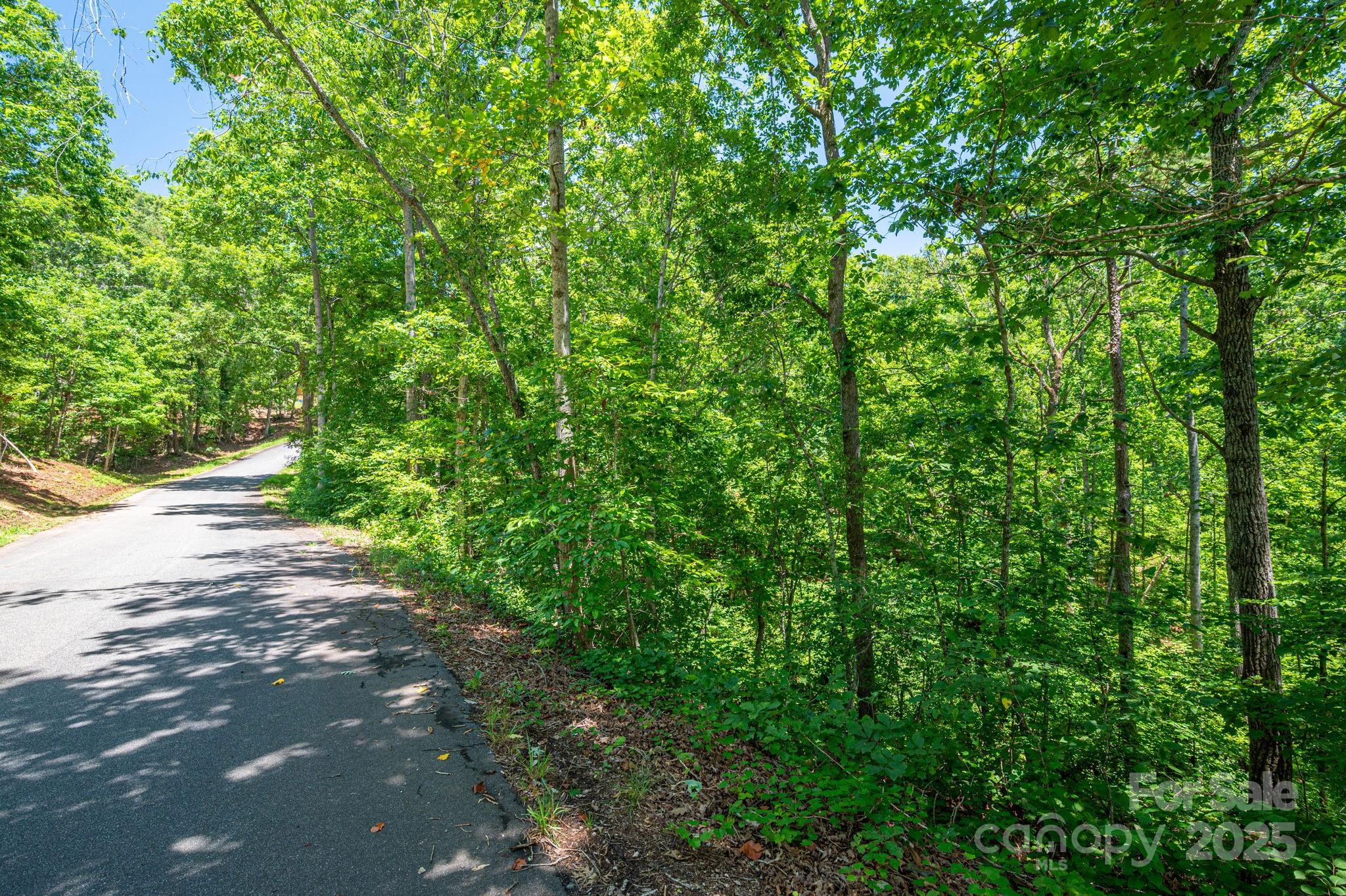 Lot 131 Plantation Drive Rutherfordton, NC 28139 - Photo 11 of 18 a view of a street with a tree