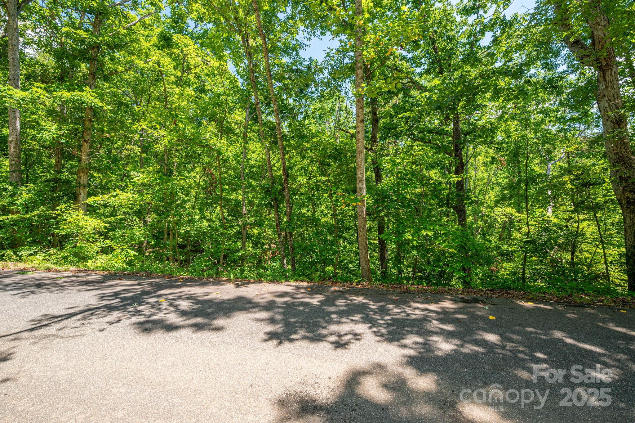 Lot 131 Plantation Drive Rutherfordton, NC 28139 - Photo 13 of 18 a view of a yard with plants and trees