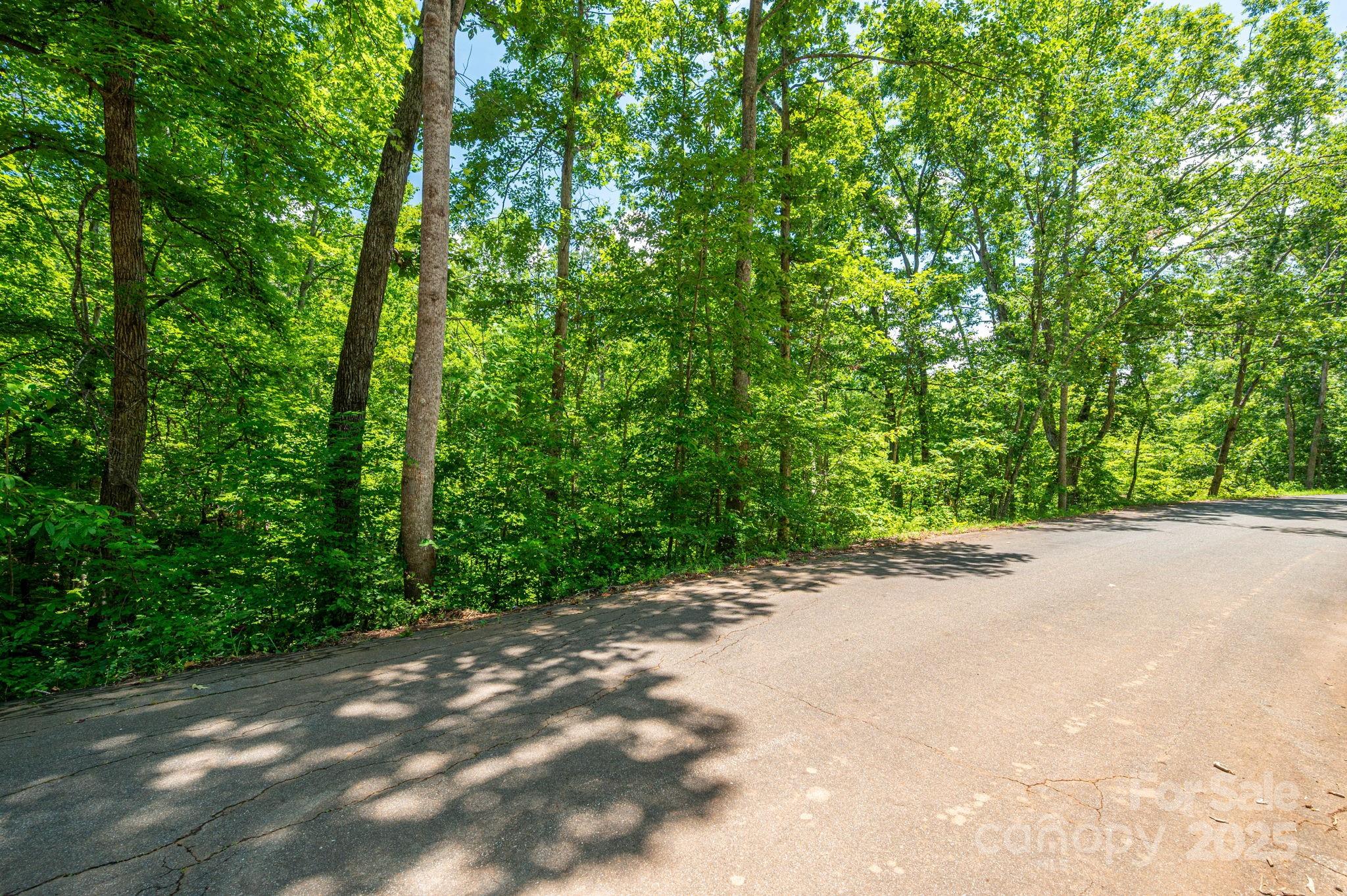 Lot 131 Plantation Drive Rutherfordton, NC 28139 - Photo 14 of 18 a view of a road with a yard