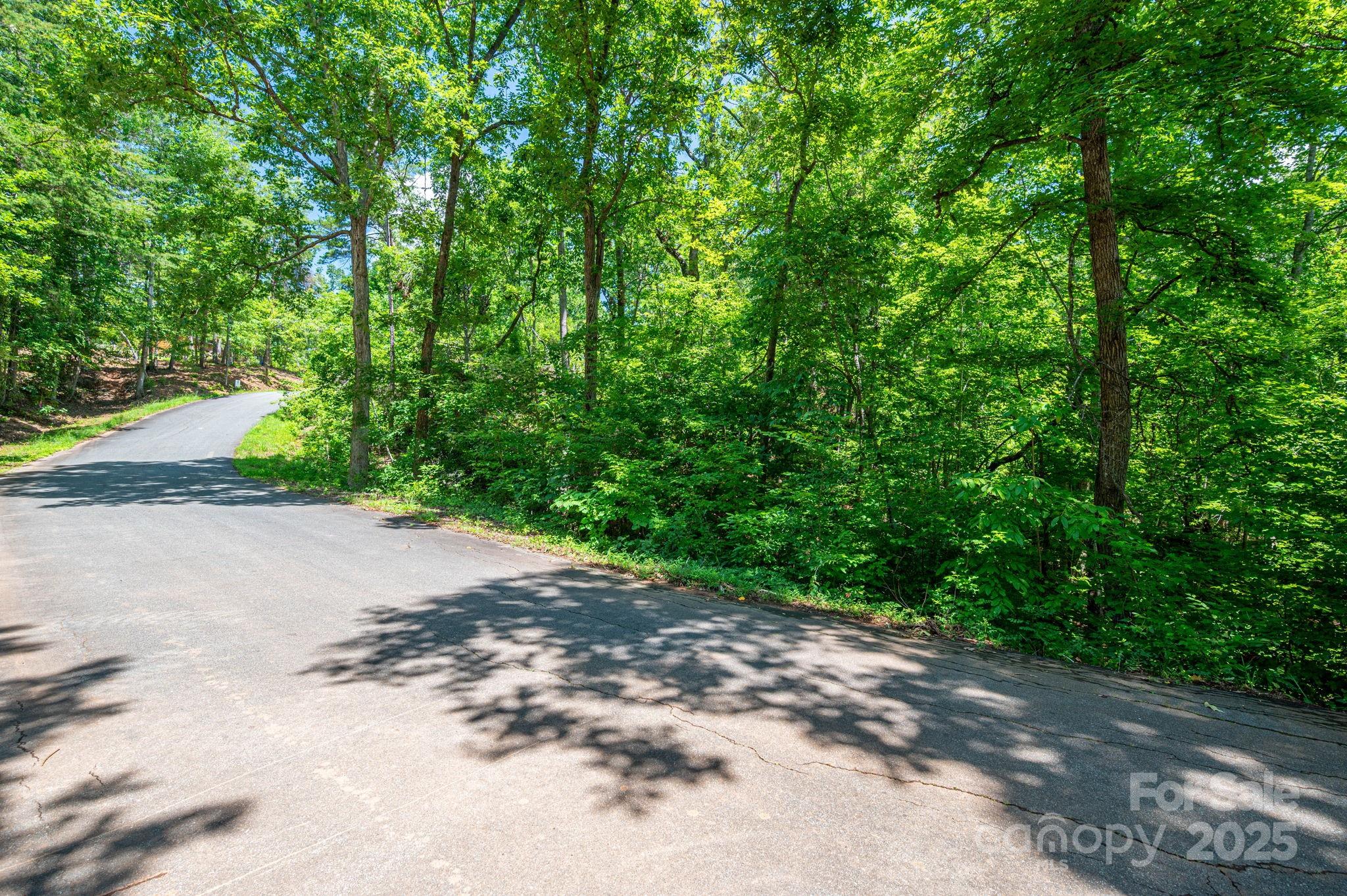 Lot 131 Plantation Drive Rutherfordton, NC 28139 - Photo 15 of 18 a view of a road with trees in the background