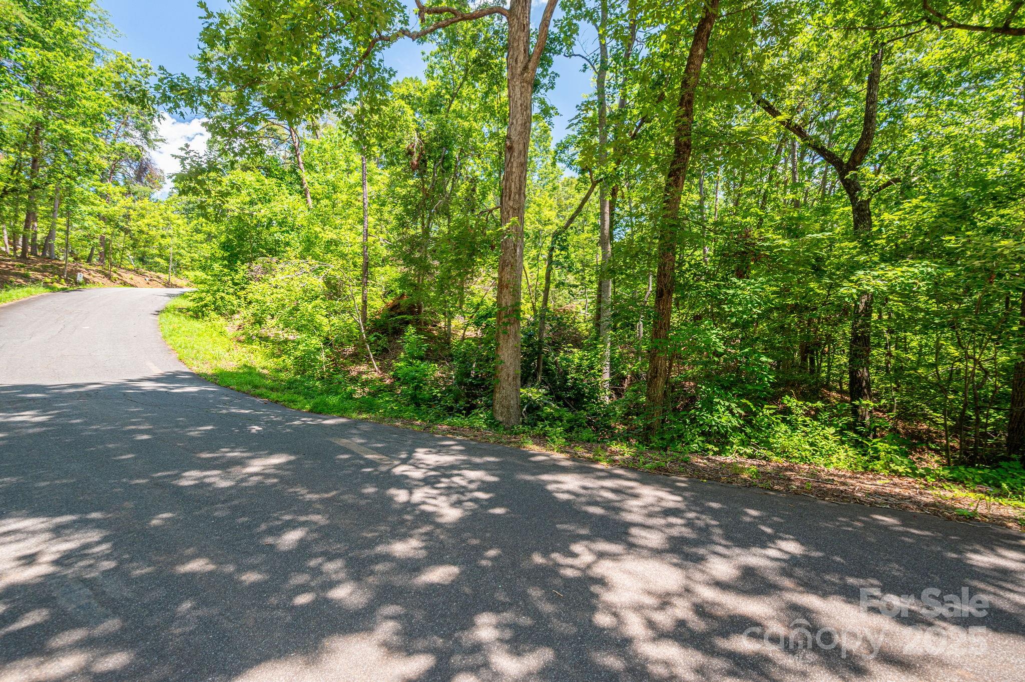 Lot 131 Plantation Drive Rutherfordton, NC 28139 - Photo 17 of 18 a view of a yard with plants and large trees