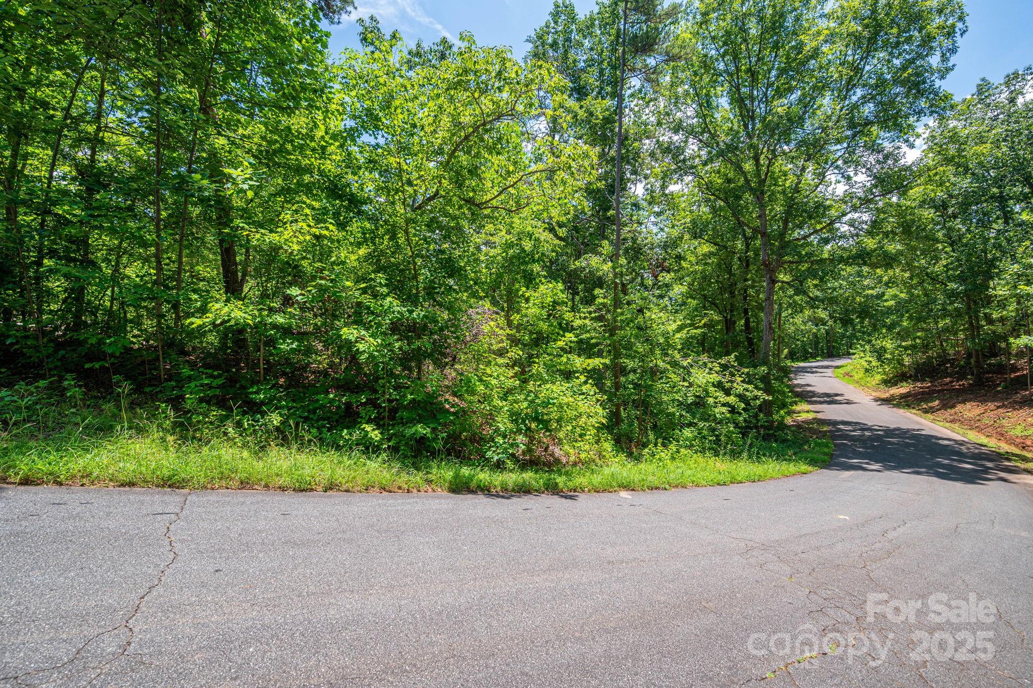 Lot 131 Plantation Drive Rutherfordton, NC 28139 - Photo 18 of 18 a backyard of a house with plants and large trees