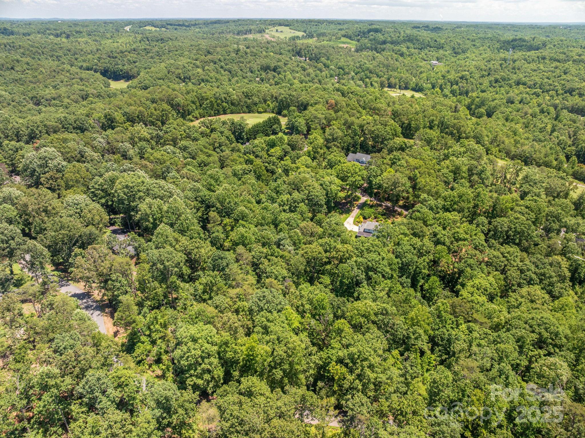 Lot 131 Plantation Drive Rutherfordton, NC 28139 - Photo 6 of 18 an aerial view of residential houses with outdoor space and trees