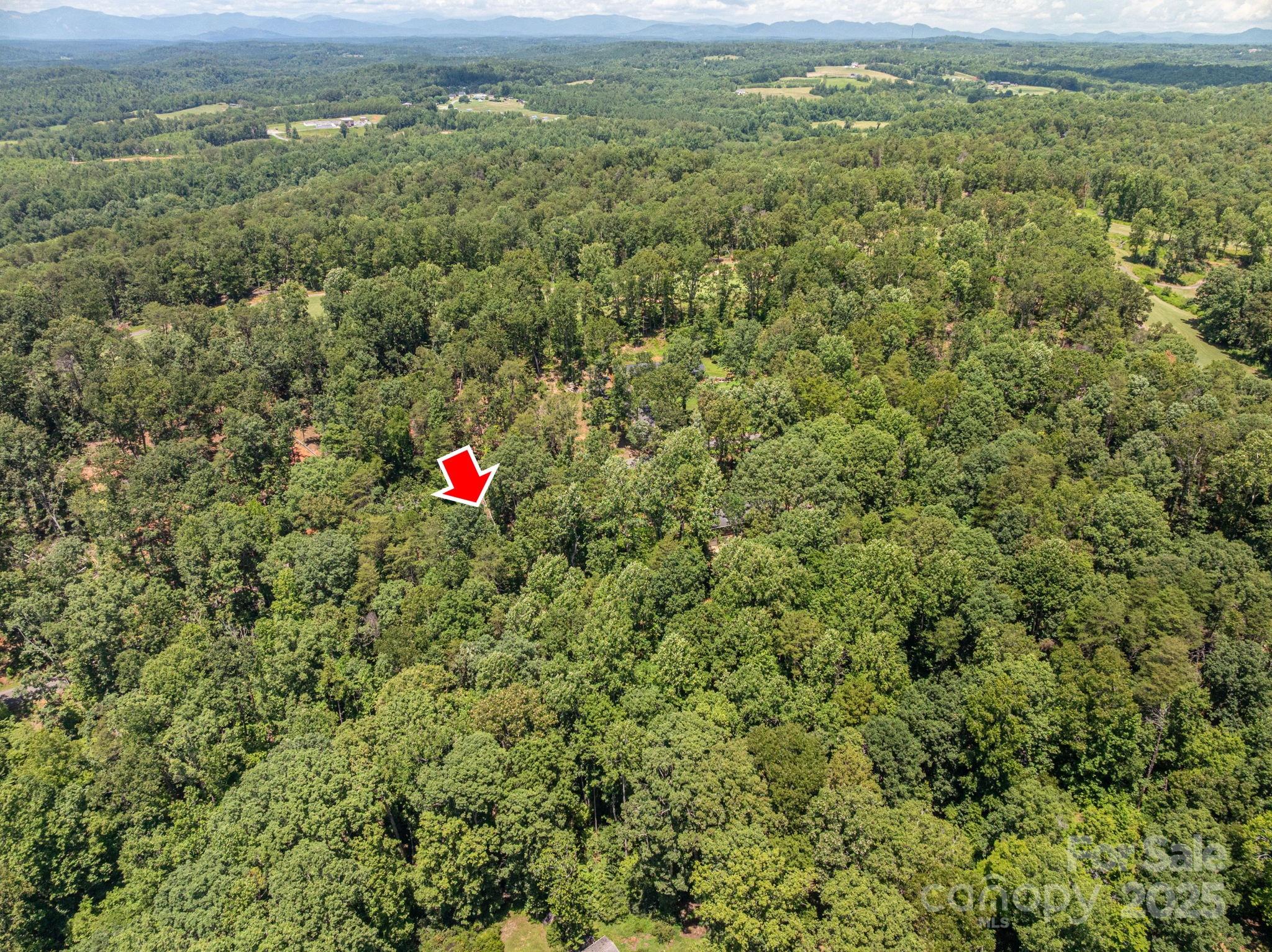 Lot 131 Plantation Drive Rutherfordton, NC 28139 - Photo 7 of 18 a view of street with lush green forest