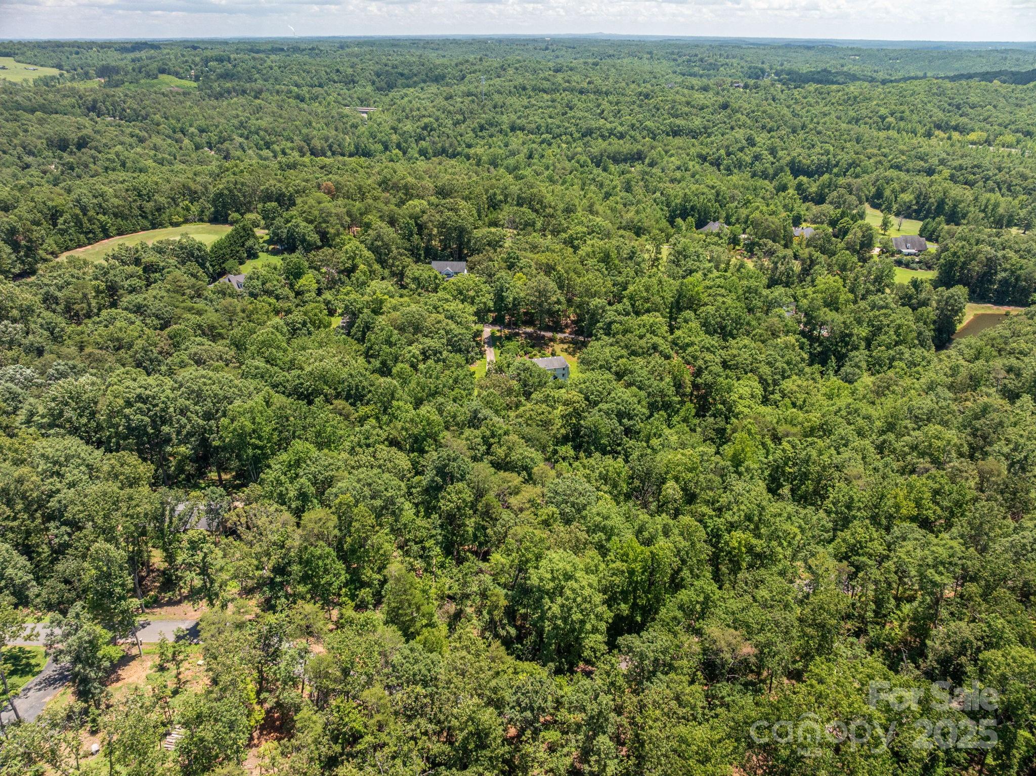 Lot 131 Plantation Drive Rutherfordton, NC 28139 - Photo 8 of 18 an aerial view of a house with a yard