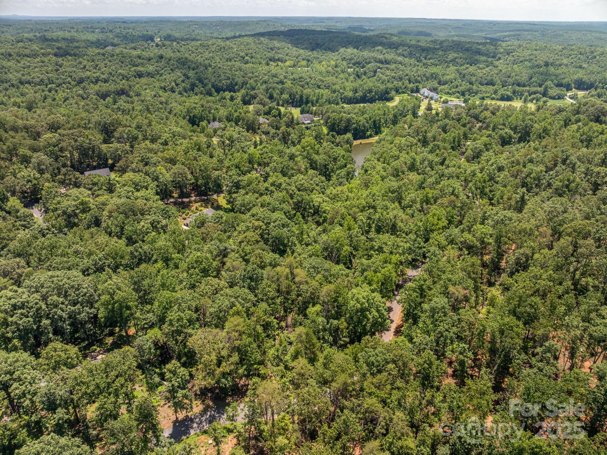 Lot 131 Plantation Drive Rutherfordton, NC 28139 - Photo 9 of 18 an aerial view of residential houses with outdoor space and trees