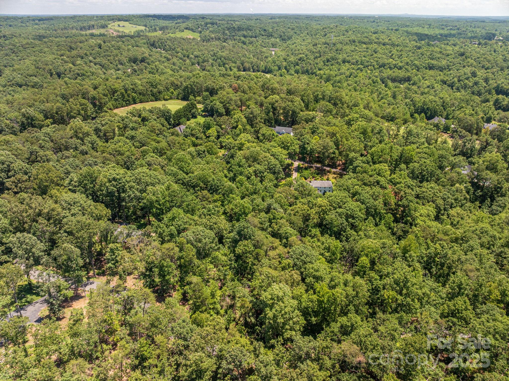 Lot 131 Plantation Drive Rutherfordton, NC 28139 - Photo 10 of 18 an aerial view of residential houses with outdoor space and trees
