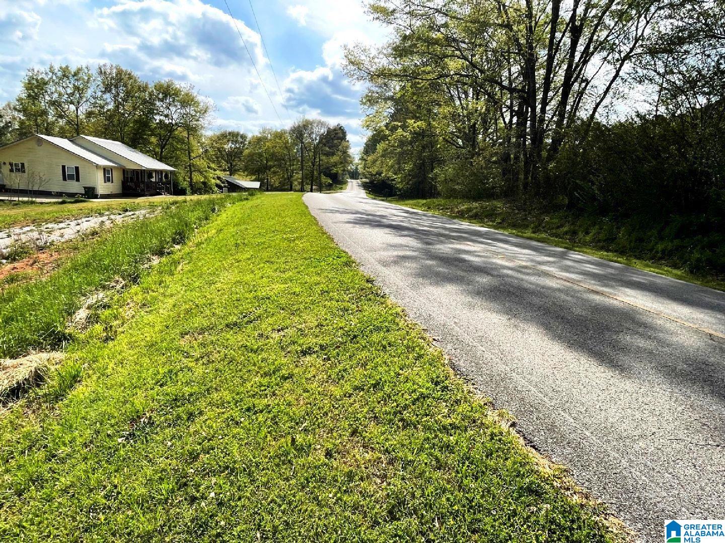 Owens Road, Unit 1 Ashland, AL 36251 - Photo 3 of 5