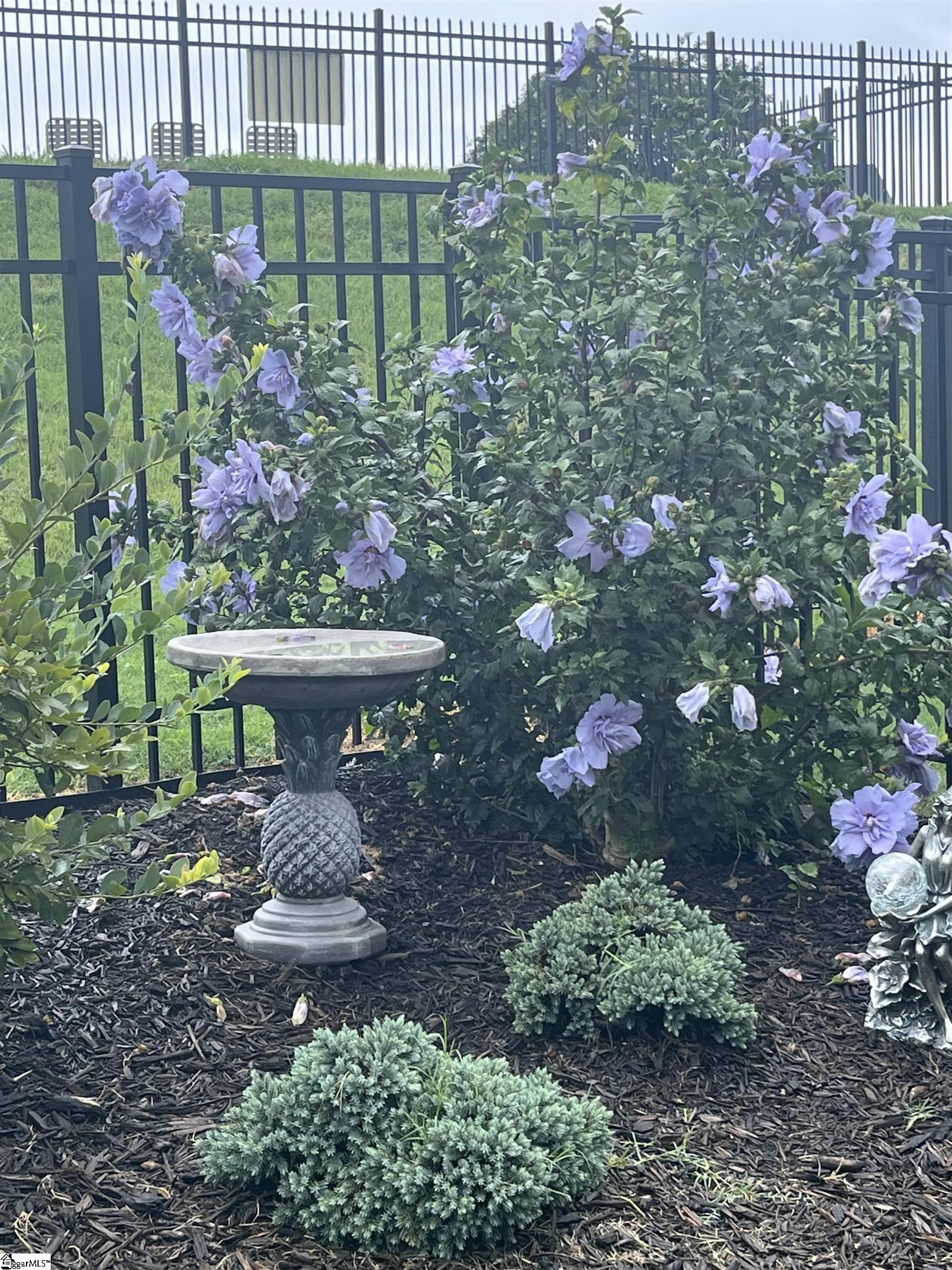 714 Torridon Lane Simpsonville, SC 29681 - Photo 41 of 47