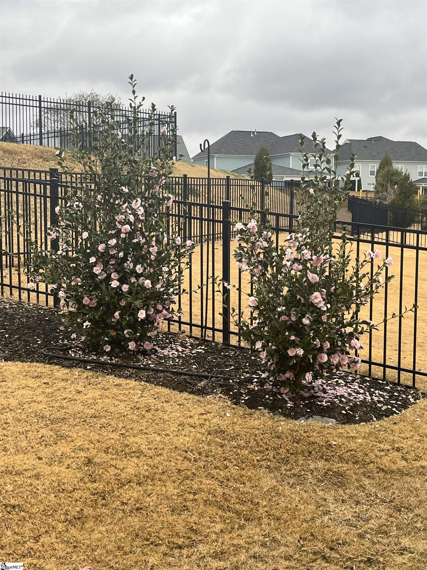 714 Torridon Lane Simpsonville, SC 29681 - Photo 42 of 47