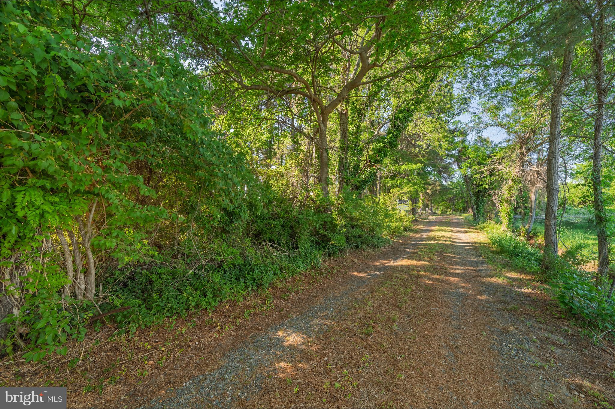 23163 Rolfe Lane Deal Island, MD 21821 - Photo 55 of 89 Gallery Image 55