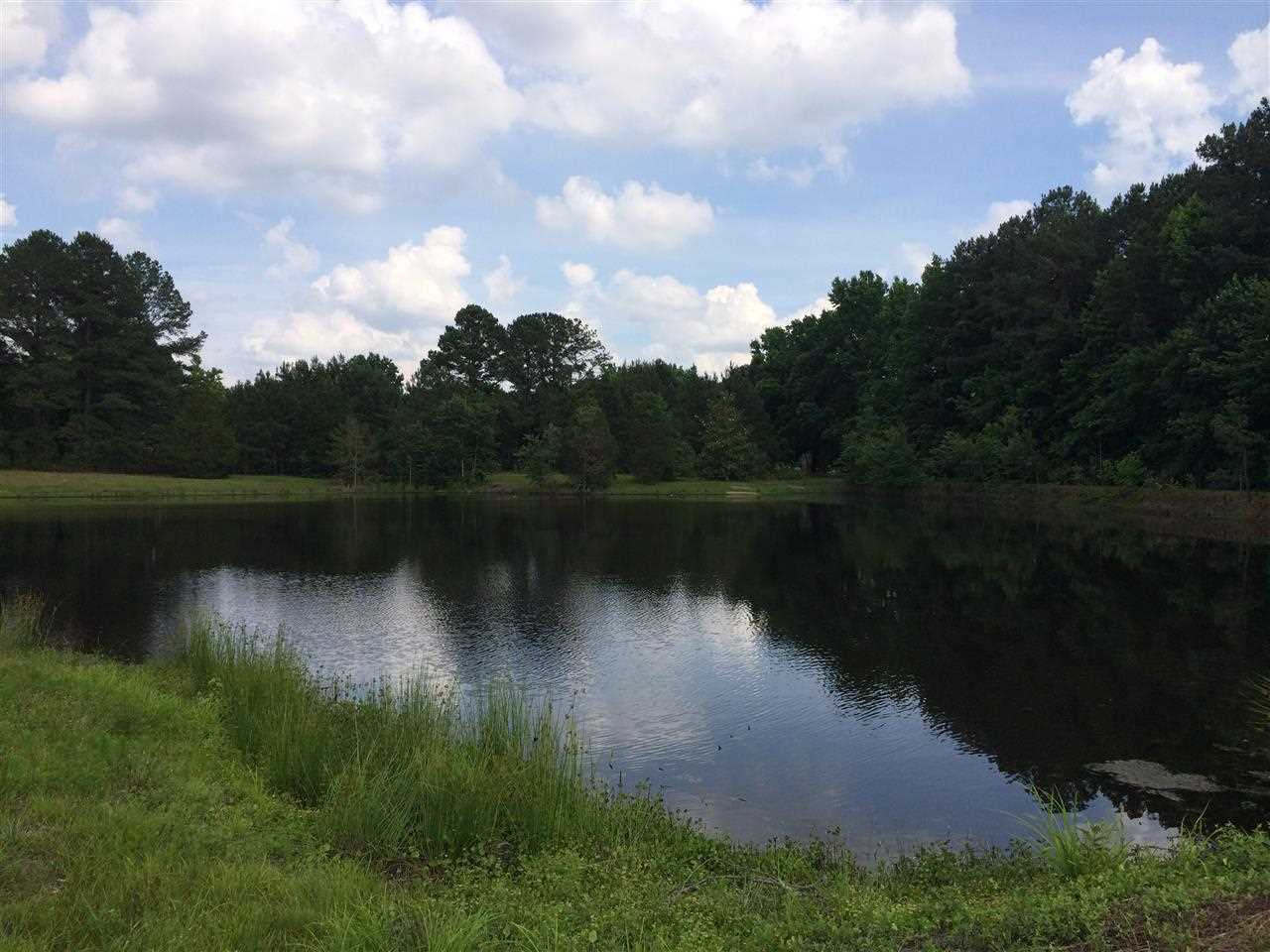 7601 Channery Way, Unit LOT43 Raleigh, NC 27616 - Photo 6 of 8 a view of a lake in middle of the house