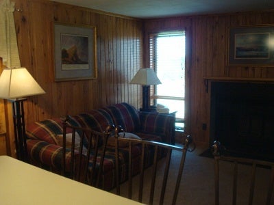 3 Powderidge Road Snowshoe, WV 26209 - Photo 1 of 11 PR 3 living view 2