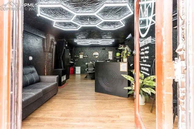 a view of a yard with plants and large trees